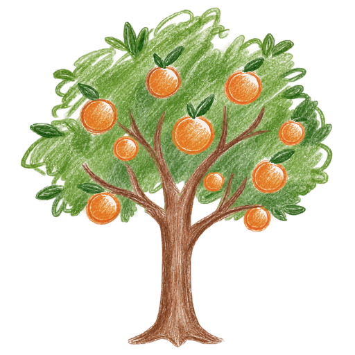 VOZORANGE orange tree in natural colored pencil